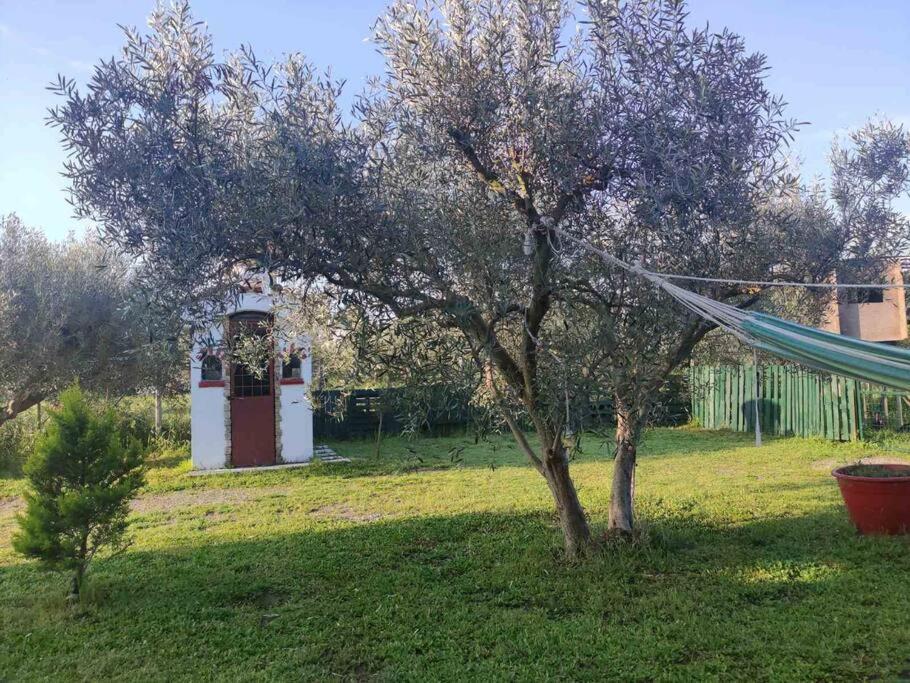 Villa Πετρινη Κατοικια Στην Φυση Tagarades Exterior foto
